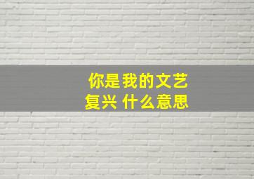 你是我的文艺复兴 什么意思